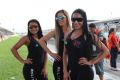 20º Festival Força Livre de Arrancadas
