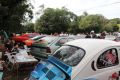 Final Auto Race Cup - 2013