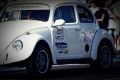Fotos Outlaw 250  - 2014