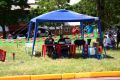 Festival de Arrancadas de Giruá