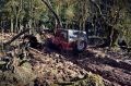 9ª Trilha Serafina Jeep Clube