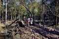 9ª Trilha Serafina Jeep Clube