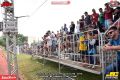 Festival dos Campeões